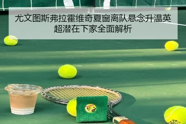 尤文图斯弗拉霍维奇夏窗离队悬念升温英超潜在下家全面解析